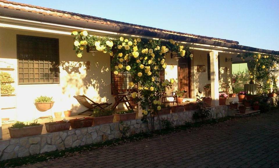 B&B Rolu Formello Exterior photo